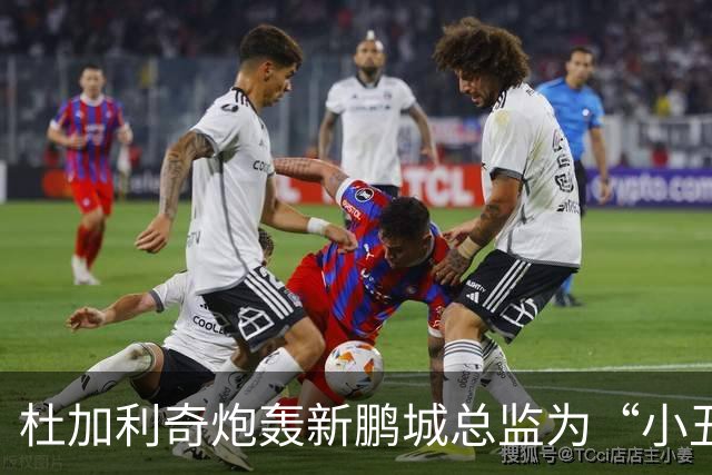 杜加利奇炮轰新鹏城总监为“小丑”：滚回家去吧，你根本不懂足球