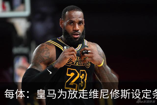 每体：皇马为放走维尼修斯设定条件 报价不得低于1.6亿欧