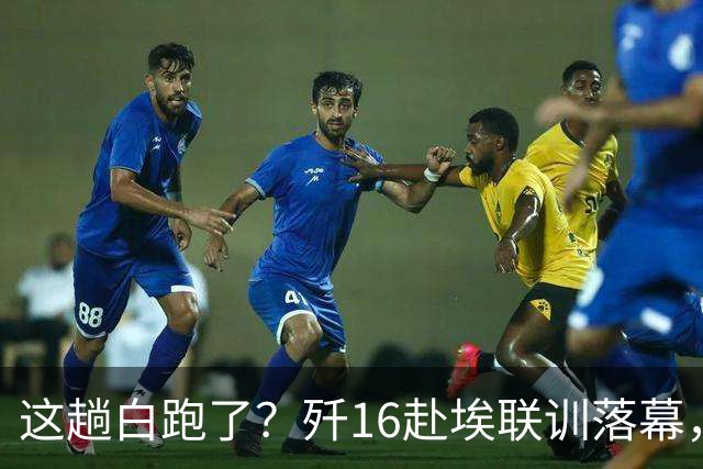 这趟白跑了？歼16赴埃联训落幕，埃及拿中国牌砍法国价，这招太绝