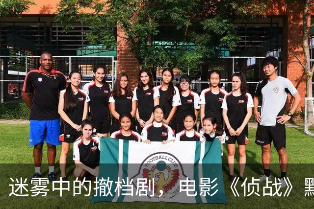 迷雾中的撤档剧，电影《侦战》黯然退场